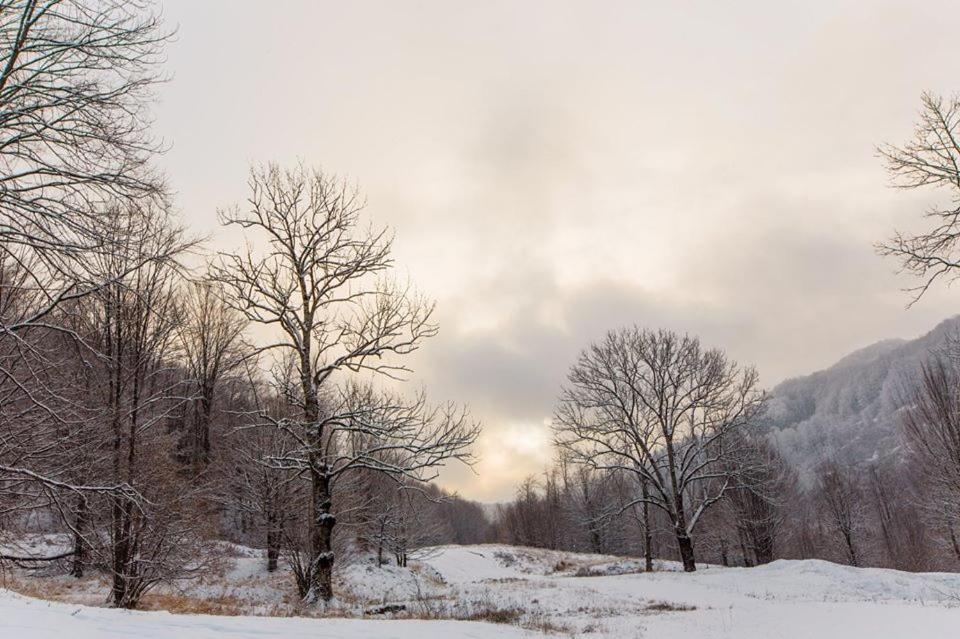 Ski Complex Velikiy Kalyny Exteriér fotografie